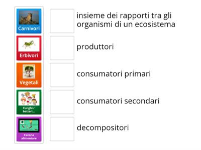 Media - moda - mediana