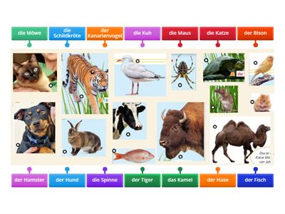 Tiere a1 Prima plus Jugendliche