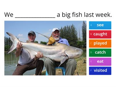 Simple Past - Complete the sentences