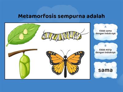 ipas kelas3 kurikulum merdeka