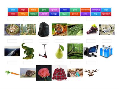 Думи със звук Р