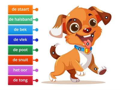 Zet de woorden op de goede plek: de hond