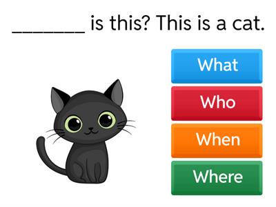 What / Where / Who / When