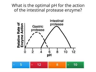 Reading Enzyme Graphs