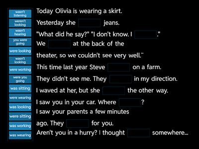 Past continuous: complete the sentences