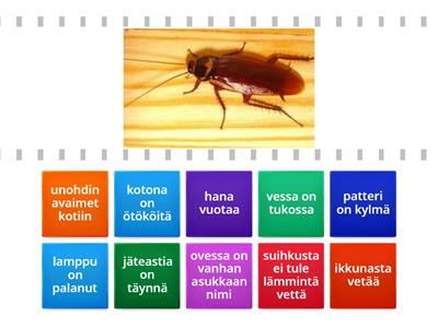 Kodin ongelmat: Mikä ongelma?