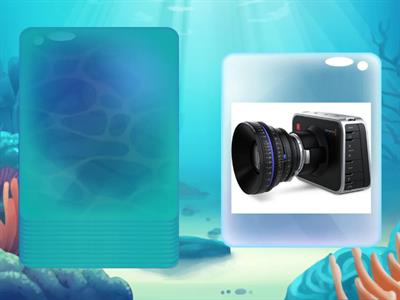 What is it? What are they? 