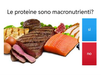 Macronutrienti e Micronutrienti