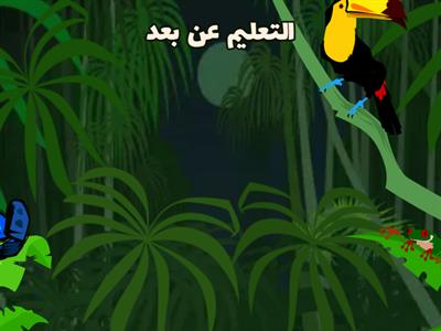 التعليم - الفواكه الطائرة