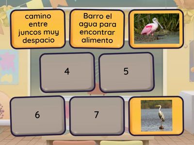 Adaptaciones al ambiente