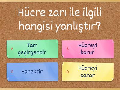 7. Sınıf Fen Hücre