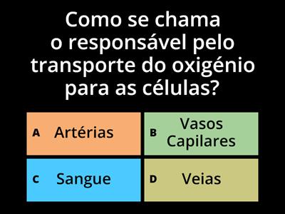 Sistema cardiovascular