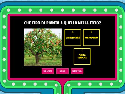 GIMNOSPERME E ANGIOSPERME