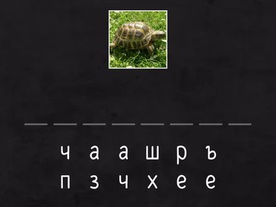 Животные. Письмо.