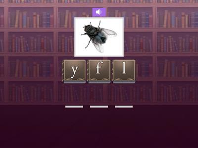 /ɑɪ/ ~unjumble words