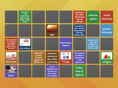 Aaden Science Ch 16A