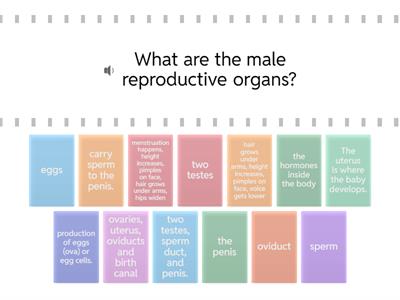 1.3 reproductive english questions