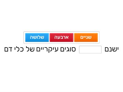 מחזור הדם