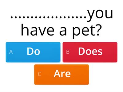Simple Present Tense, Question Words