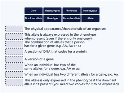 Genetics Key Terms