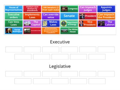  Separation of Powers (Legislative and Executive)