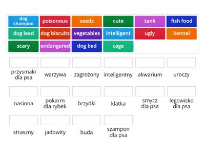 Brainy 6 unit 4 adjectives and things for pets