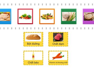 4 nhóm chất dinh dưỡng