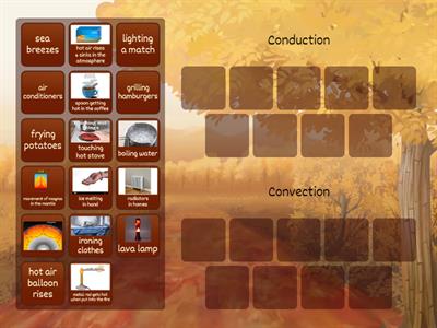 Conduction & Convection Sort