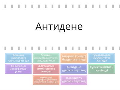 Иммунитет