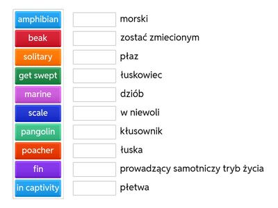high note 4 b2/b2+ słownictwo reading unit 2