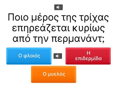 Περμανάντ – Βασικές Γνώσεις