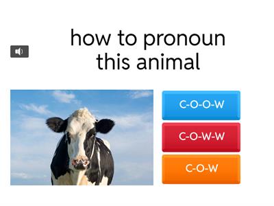 This/ That/ These/ Those