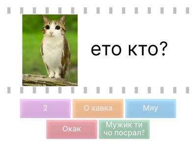 Тест на меми