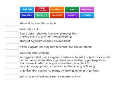 Y7 KS3 7.2 Key Terms