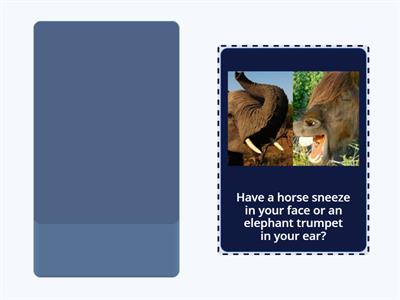 8 Would you rather ...? 