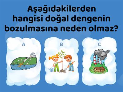 doğal çevre test