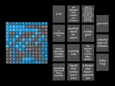 Spring Words Word Search