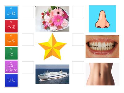 HA - は行　文字と絵のマッチングクイズ