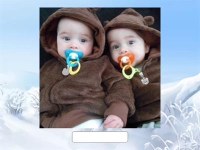  Plural nouns Regular and Irregular