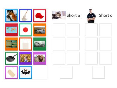 Short o/a Medial Vowel Sort