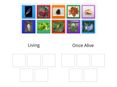 Sort the Living and Once Alive Things