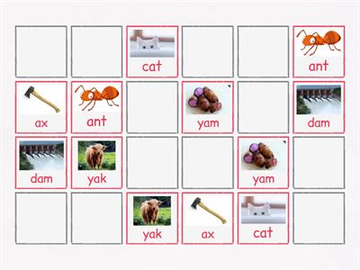 OPW2 U1 CVC words matching