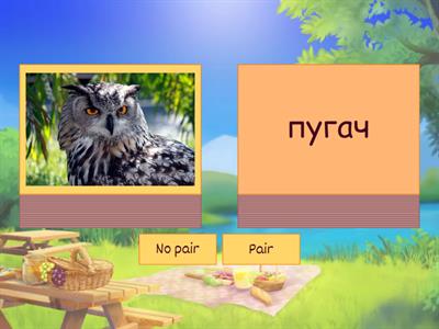 Назвы птушак (бел. мова)