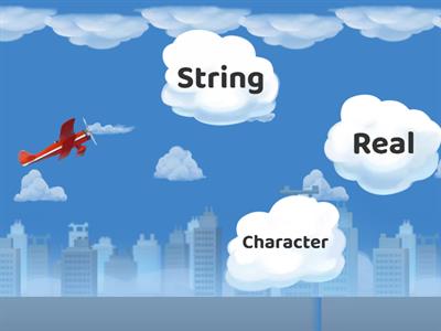 DATA TYPES (AIRPLANE)