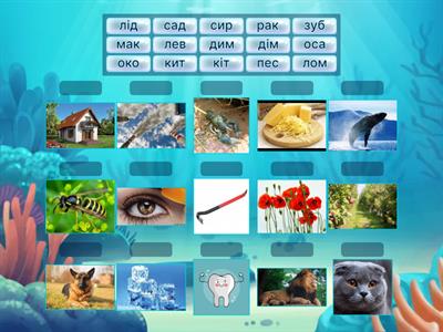 Копия  слова з трьох букв