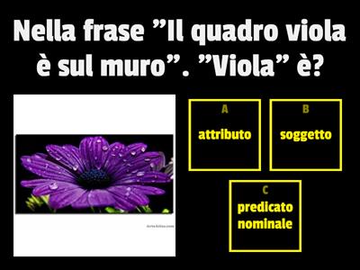 quiz soggetto -  predicato