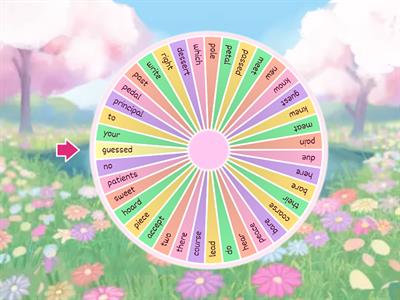 homophones - spin and write the other homophone