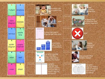 Graphic Organizers and Tests 