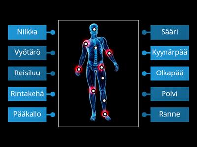 Anatomia suomeksi 1