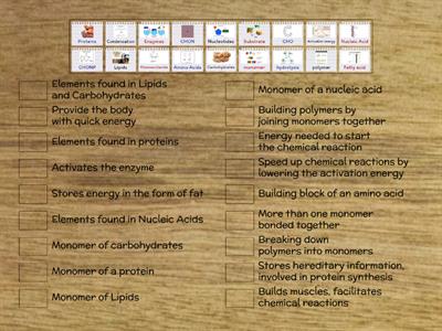 Biomolecules